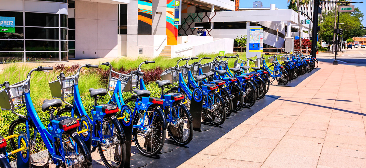 Rental Cycles in Downtown Tampa