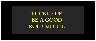 buckle up be a good role model