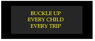 buckle up every child every trip