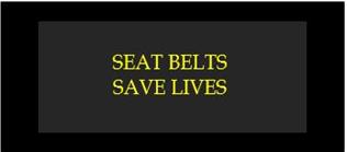Seat belt save lives